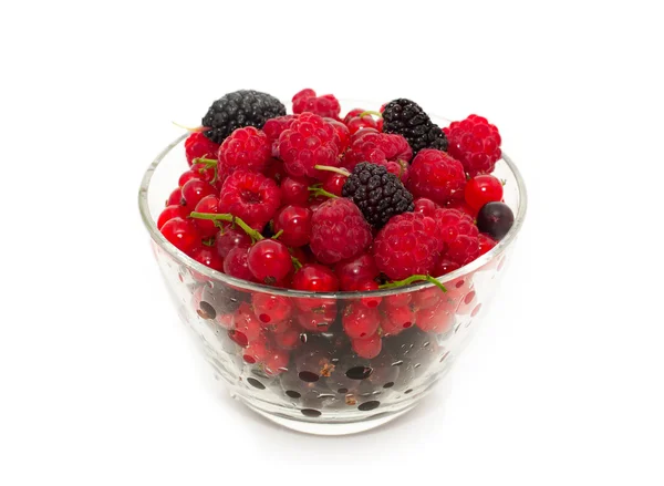 Assorti of fresh berries — Stock Photo, Image
