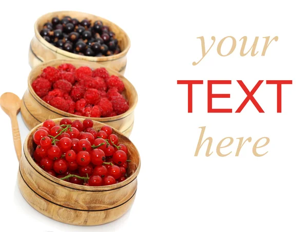 Berry background — Stock Photo, Image