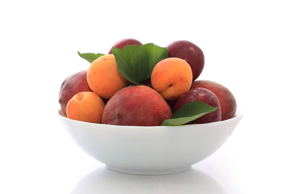 Frukter i vit skål — Stockfoto
