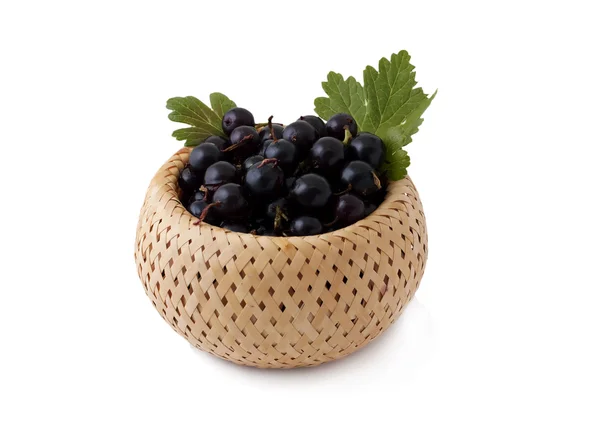 Blackcurrants in basket — Stock Photo, Image