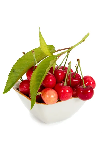 Cherry, isolated on a white background — Stock Photo, Image