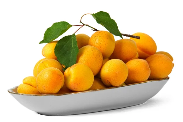 Aprikosen, isoliert auf weißem Hintergrund — Stockfoto