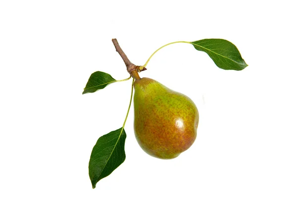 Fruit peren geïsoleerd op een witte achtergrond — Stockfoto