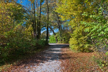 Walk in the park clipart