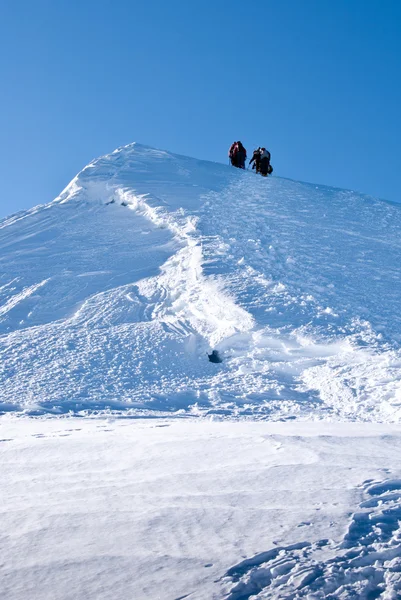 Альпинисты на леднике — стоковое фото