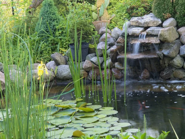 Ornamental pond — Stock Photo, Image