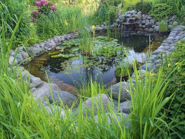 Ornamental pond — Stock Photo, Image