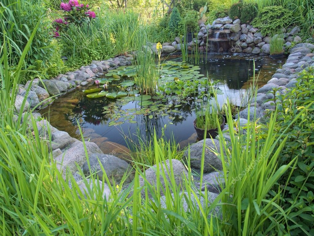 Ornamental pond Stock Photo by ©utoplec 5759175
