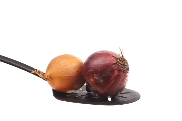 Onion on a spoon — Stock Photo, Image