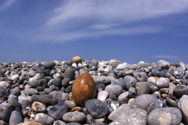 fllintstone kıyı boyunca üzerinde yumurta