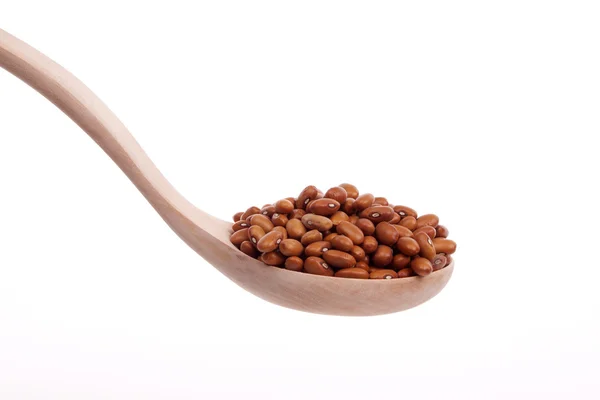 Hnědé fazole — Stock fotografie