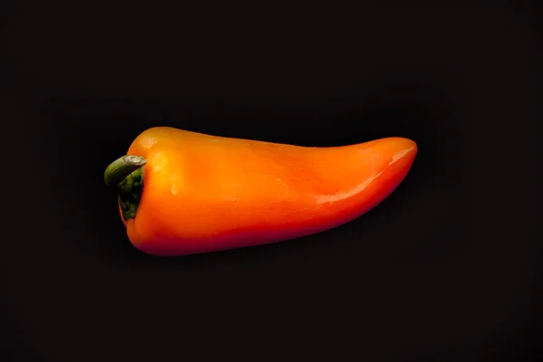 甜椒 — 图库照片