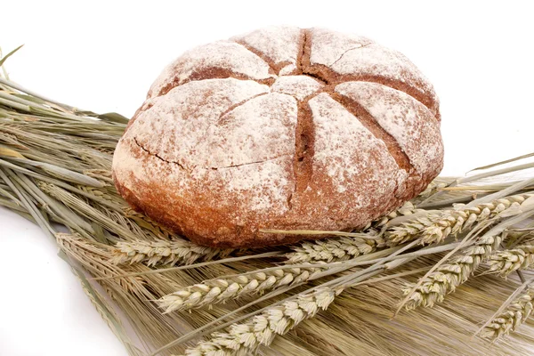 Pan sobre grano —  Fotos de Stock
