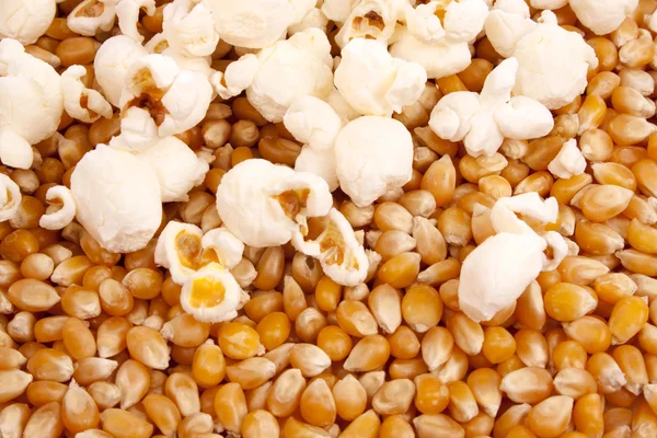 Maize as a background — Stock Photo, Image