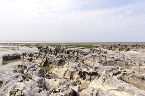 stock image Chalk cliff along the beach