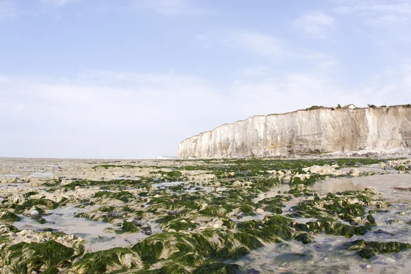 stock image Chalk cliff along the beach