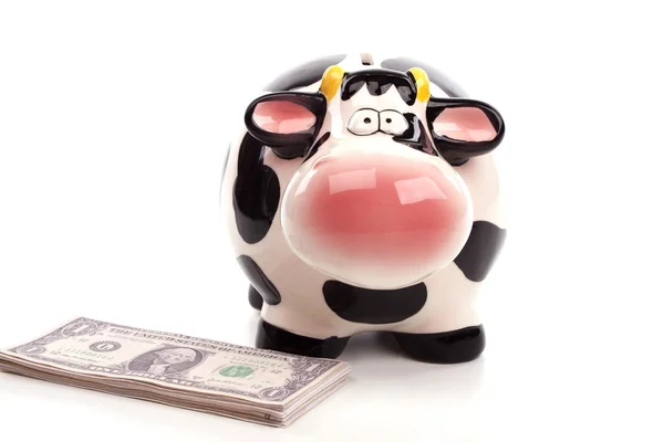 stock image Piggy bank