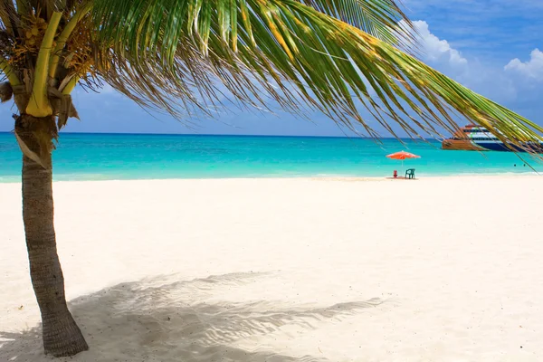 stock image Tropical beach