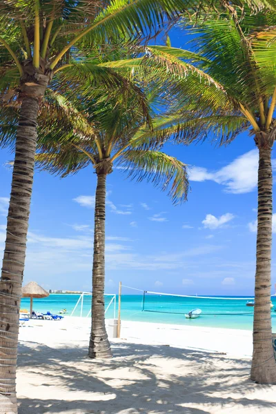 Stock image Tropical beach