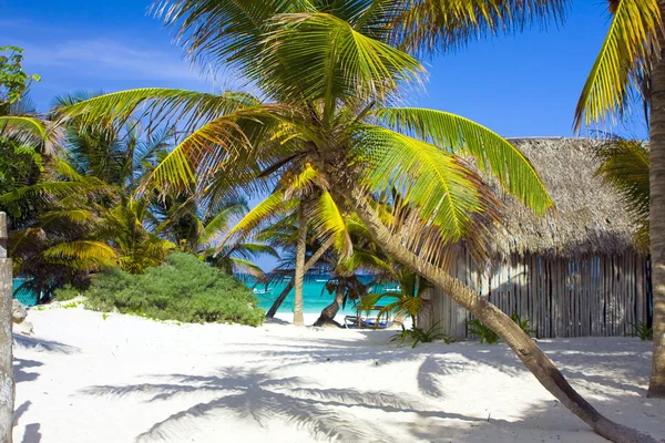 stock image Tropical beach