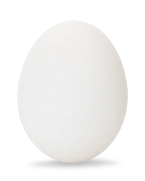 Huevo blanco —  Fotos de Stock