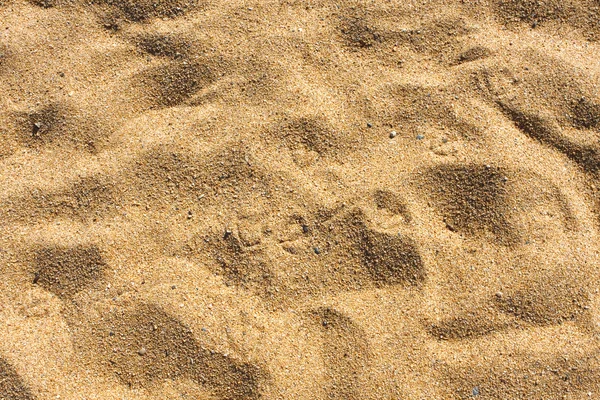 stock image Beach sand