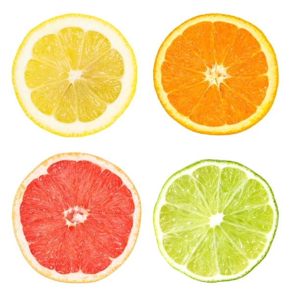 Citrus szeletek Stock Kép
