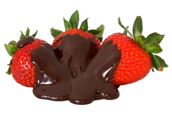 Erdbeeren in Schokolade — Stockfoto