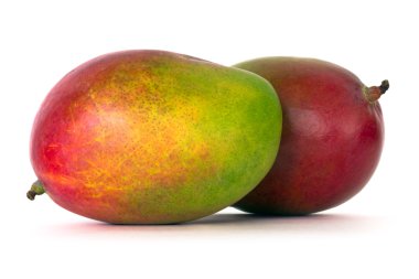 Mango meyve