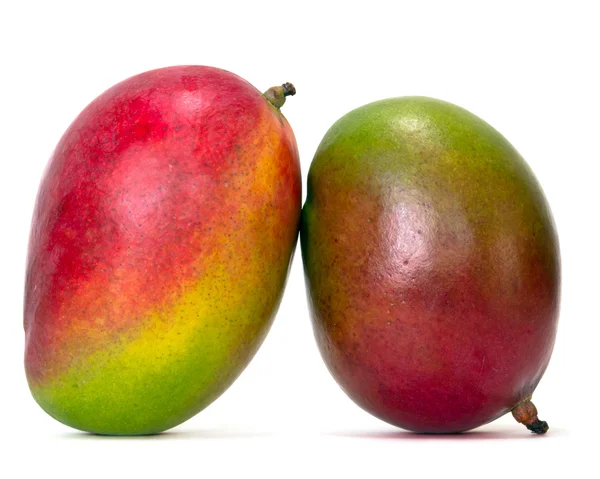 stock image Mango fruit