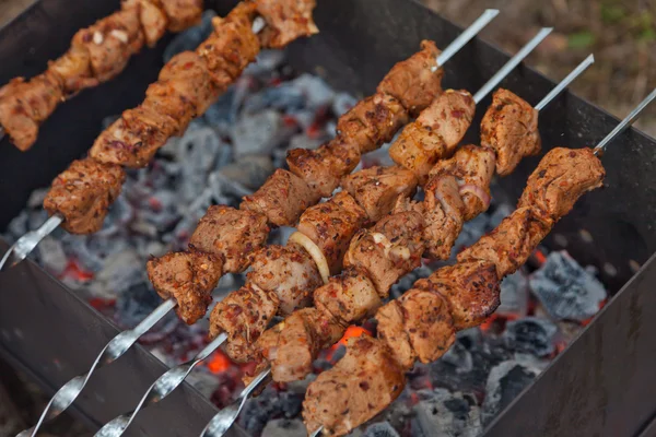 üzerinde bir mangal şiş kebap