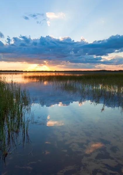 Yaz rushy göl günbatımı Manzaralı — Stok fotoğraf