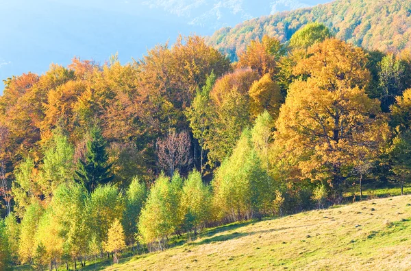 秋天的山区森林 — 图库照片