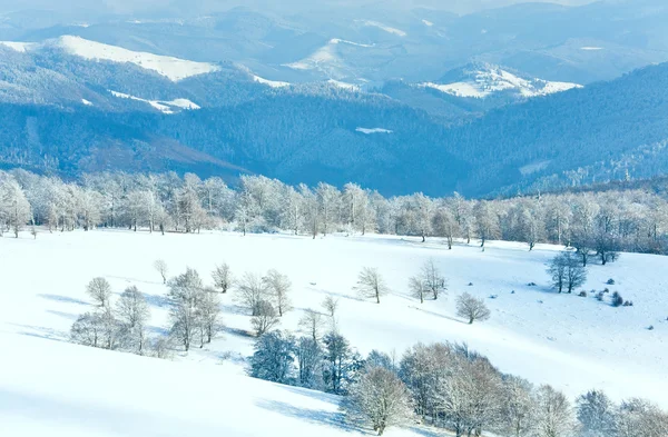 Primeira neve de inverno e floresta de faia de montanha — Fotografia de Stock