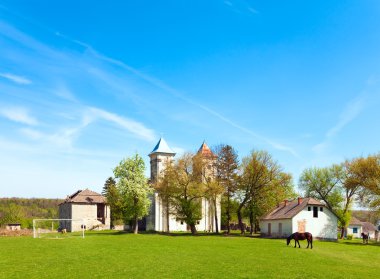 Old church (Sydoriv village, Ternopil region, Ukraine) clipart