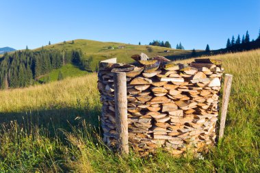 Firewood stack on summer mountains clipart