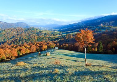 Autumn misty morning mountain valley clipart