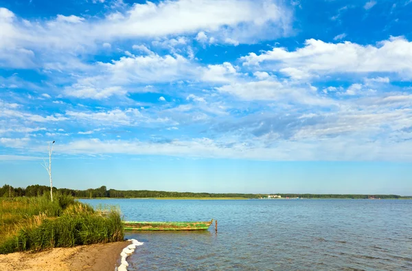 夏イグサの茂った湖 — ストック写真