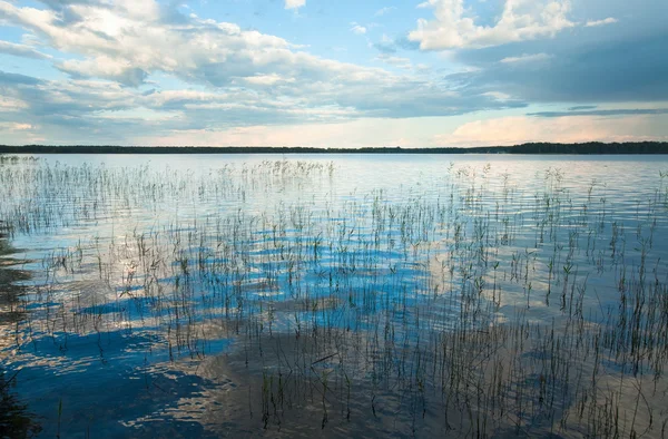 Letní Vladimir jezero — Stock fotografie