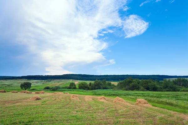Sommar fält med höstackar — Stockfoto