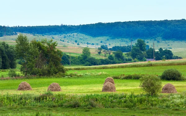 Sommermarker med høstakke - Stock-foto