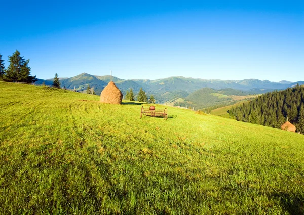 Letní horské vesnice outscirts — Stock fotografie