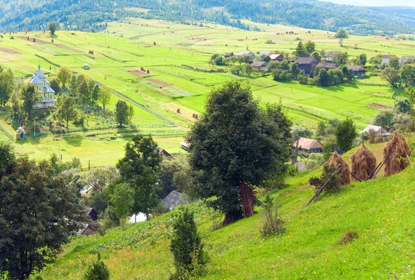 Küçük yaz dağ köyü — Stok fotoğraf