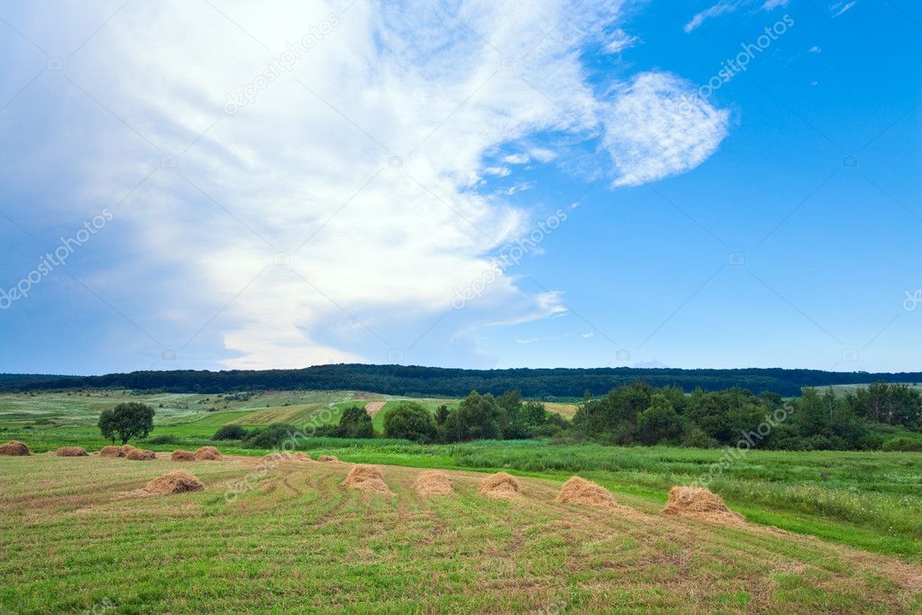 Summer fields with haystacks