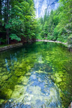 Alpine summer lake view clipart