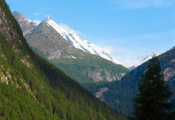Alpen zomer weergave — Stockfoto