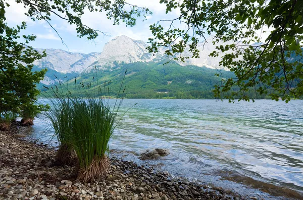 Alpiner Sommer Seeblick — Stockfoto