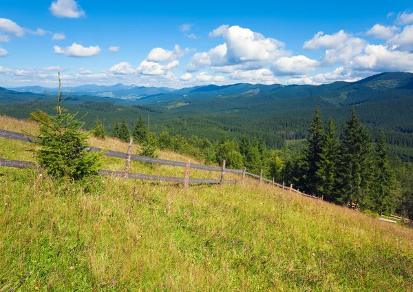 Summer mountain view — Stock Photo, Image