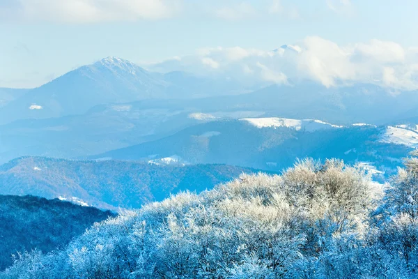 Första vintern snö och berg bokskog — Stockfoto