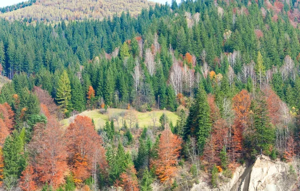 Podzimní horský Les — Stock fotografie